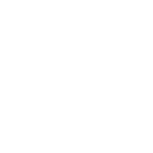 Foot Scans